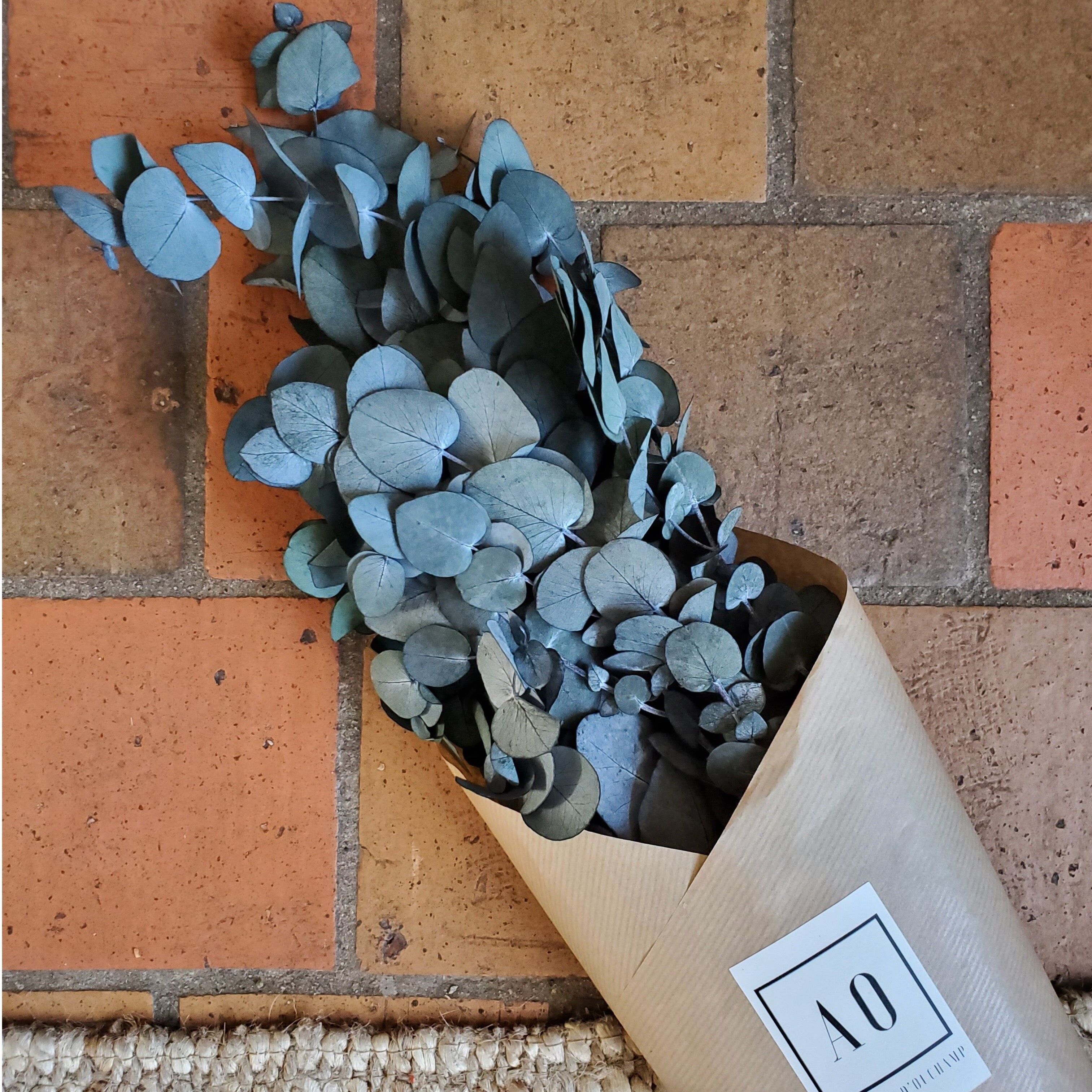 Stivale Cinerea Eucalipto Stabilizzato - Verde