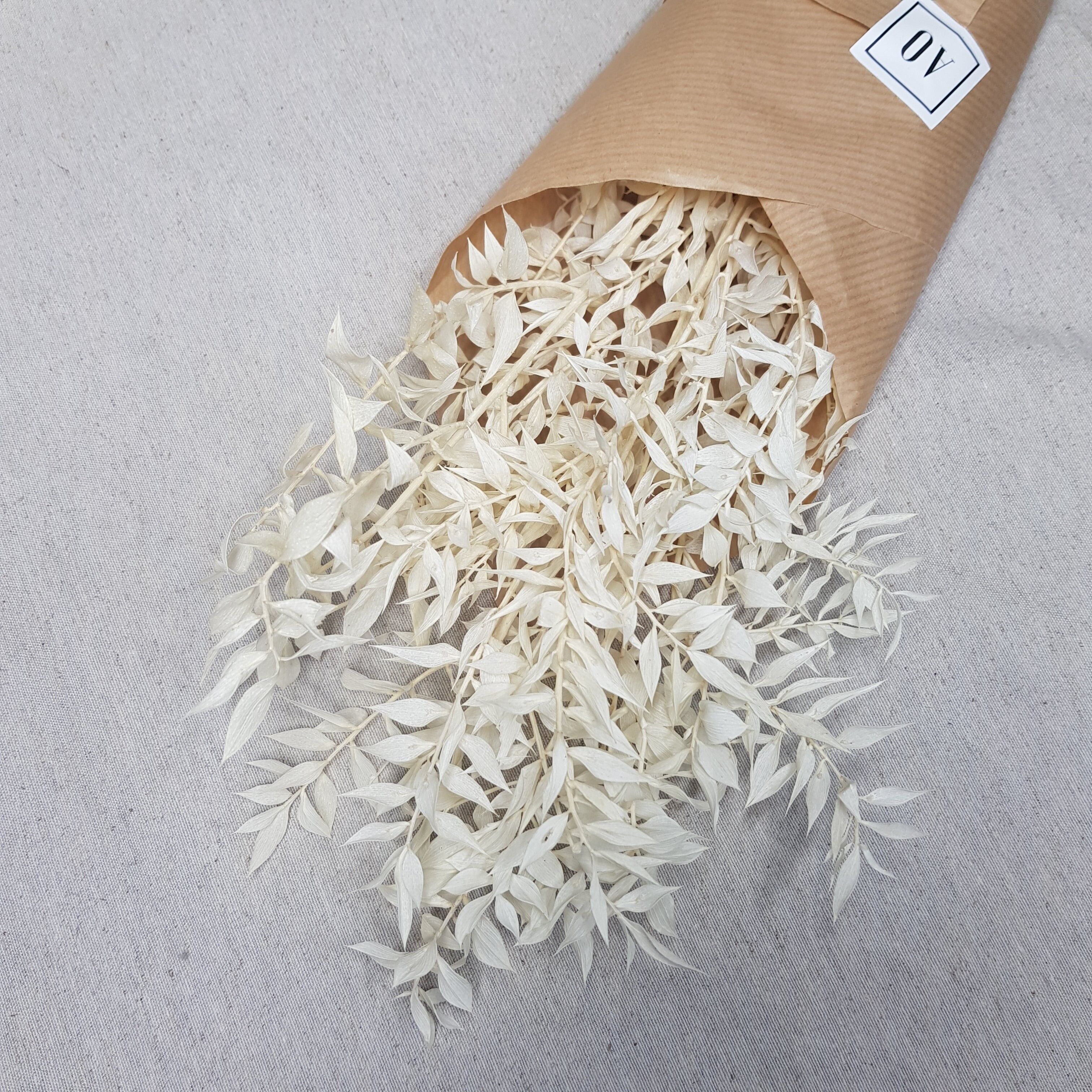 Stivale Ruscus sbiancato stabilizzato