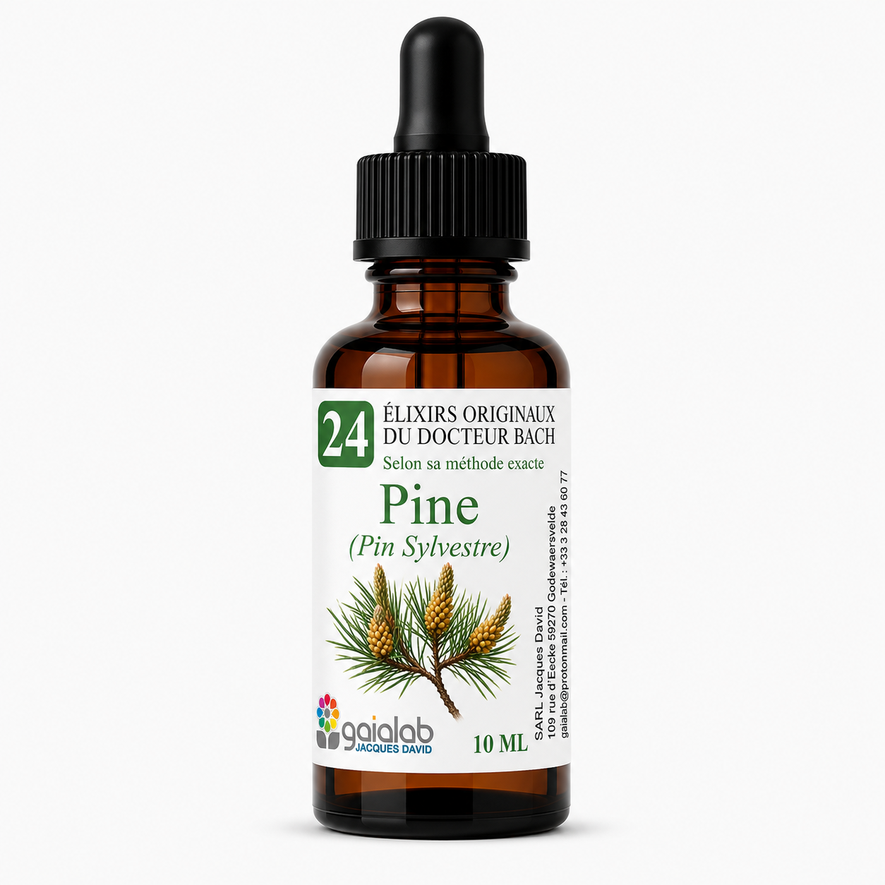 Pine (Scots Pine) - Organic Bach Flower Remedy*