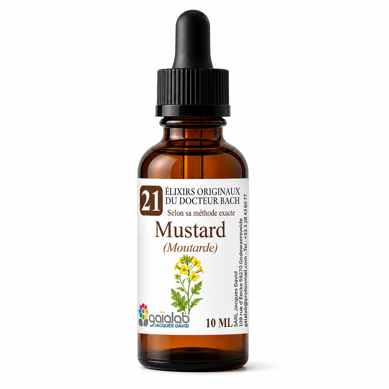 Mustard - Organic Bach Flower Remedy*