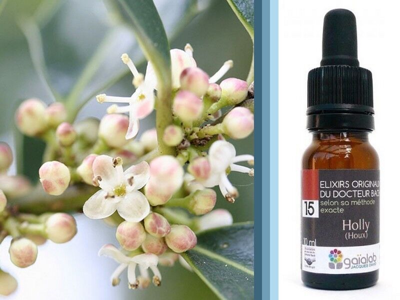 Fiore di Bach Agrifoglio (Agrifoglio) BIOLOGICO*