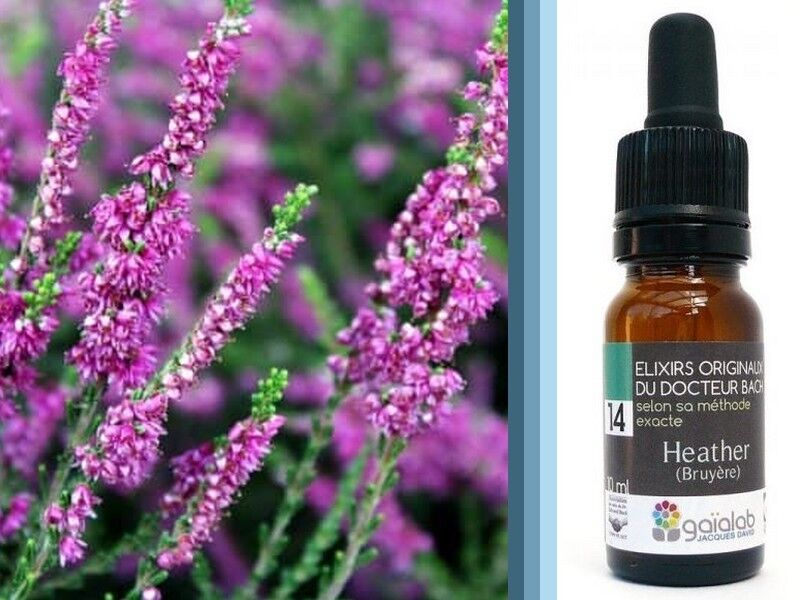 Fiori di Bach Erica BIOLOGICO*