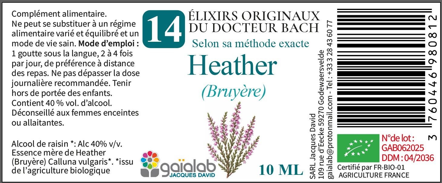 Heather (Bruyère) - Fleur de Bach BIO*