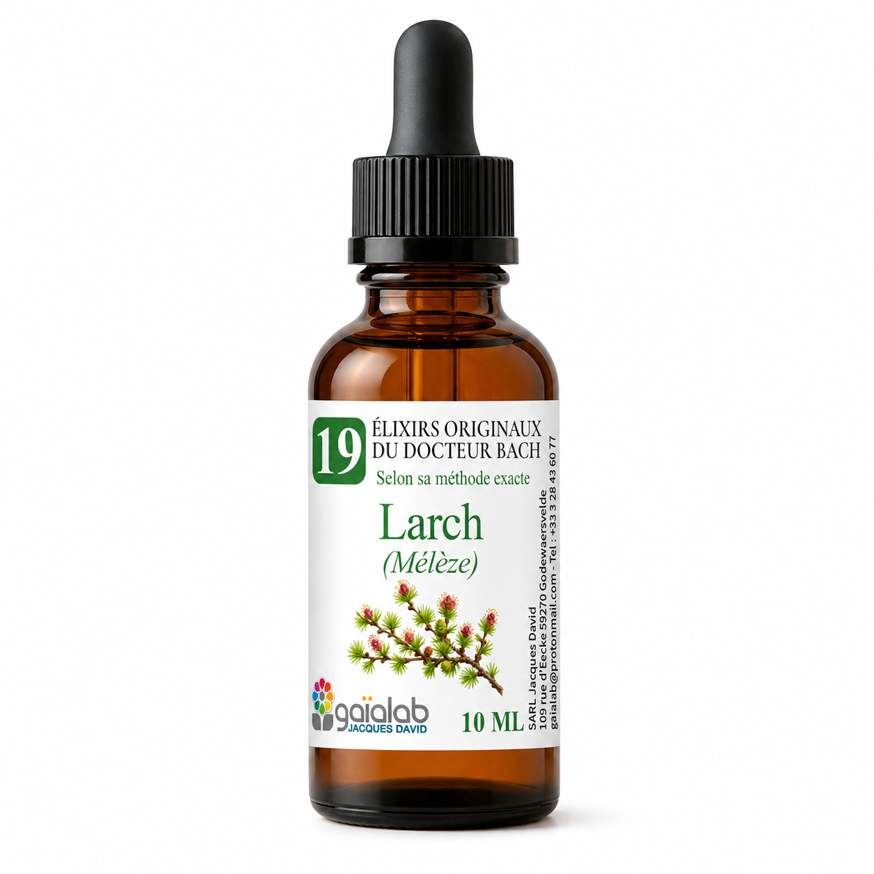 Larch (Larch) - Organic Bach Flower Remedy*