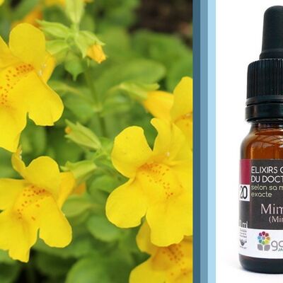 Bach Flower Mimulus (Mimule) ORGANIC*
