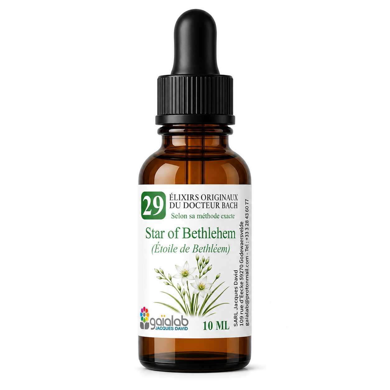 Star of Bethlehem - ORGANIC Bach Flower*