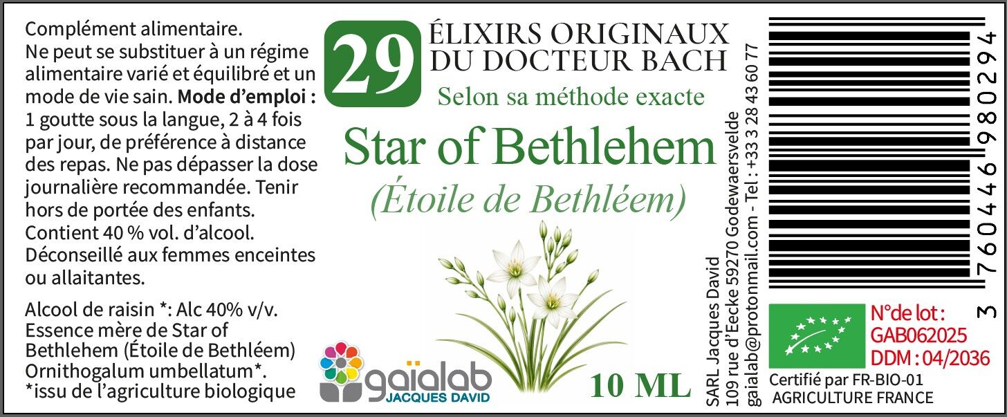 Star of Bethléem (Étoile de Bethléem) - Fleur de Bach BIO*