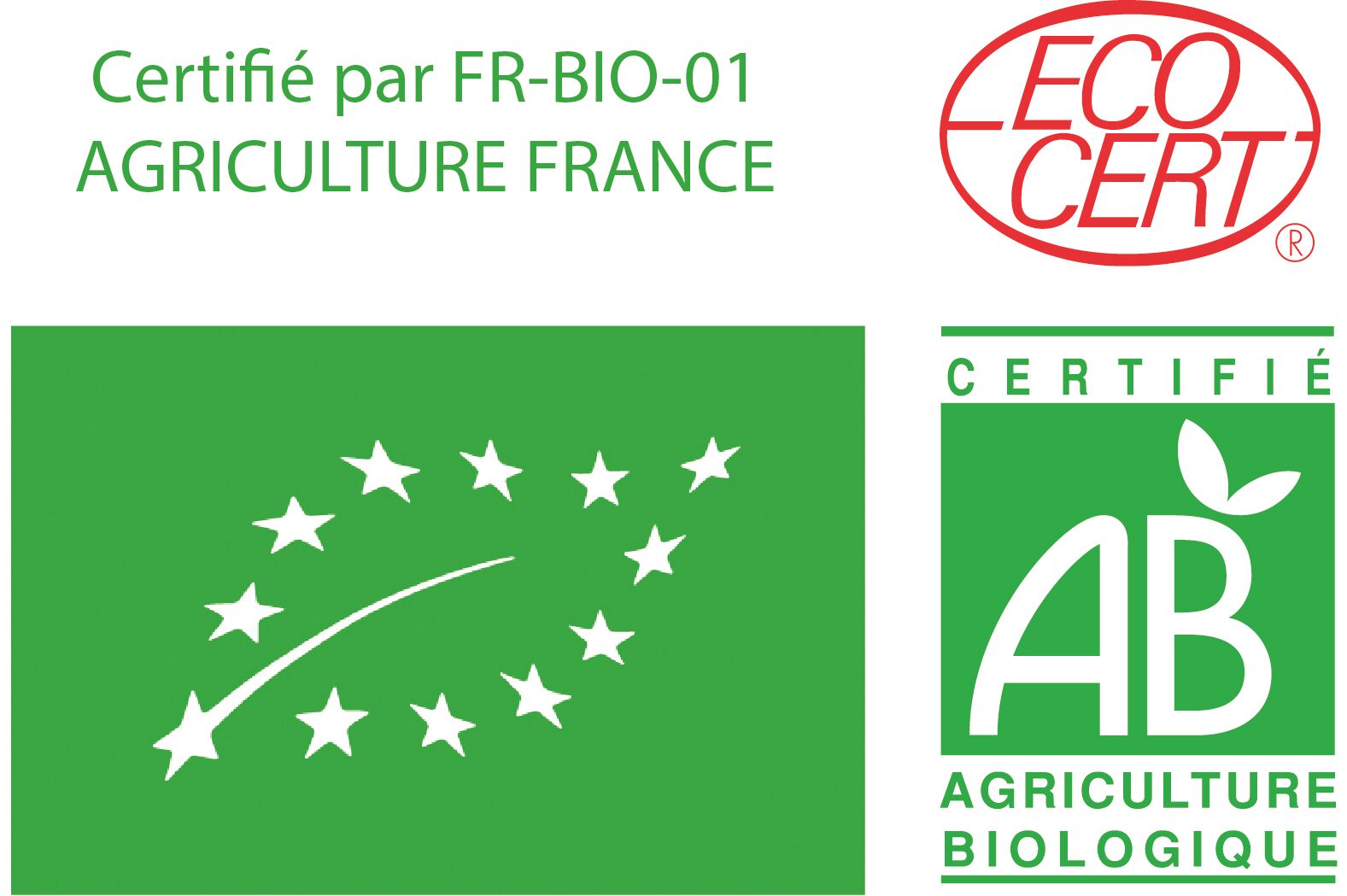 Centaury (Centaurée) - Fleur de Bach BIO*