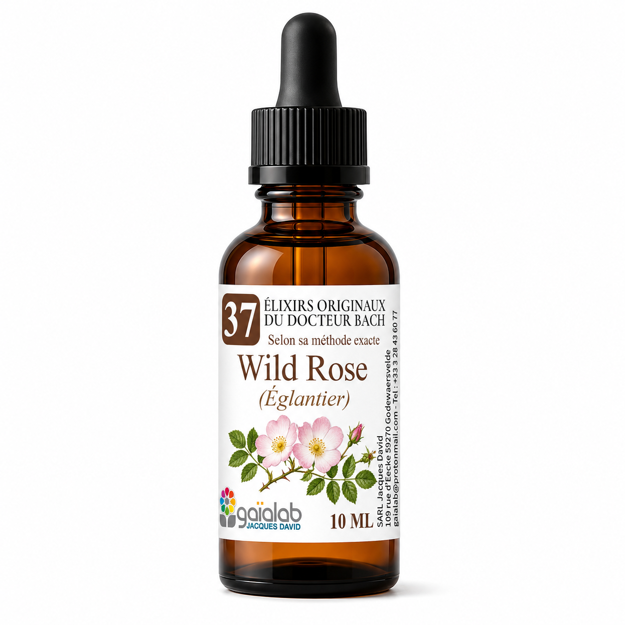 Wild Rose (Rosehip) - Organic Bach Flower Remedy*