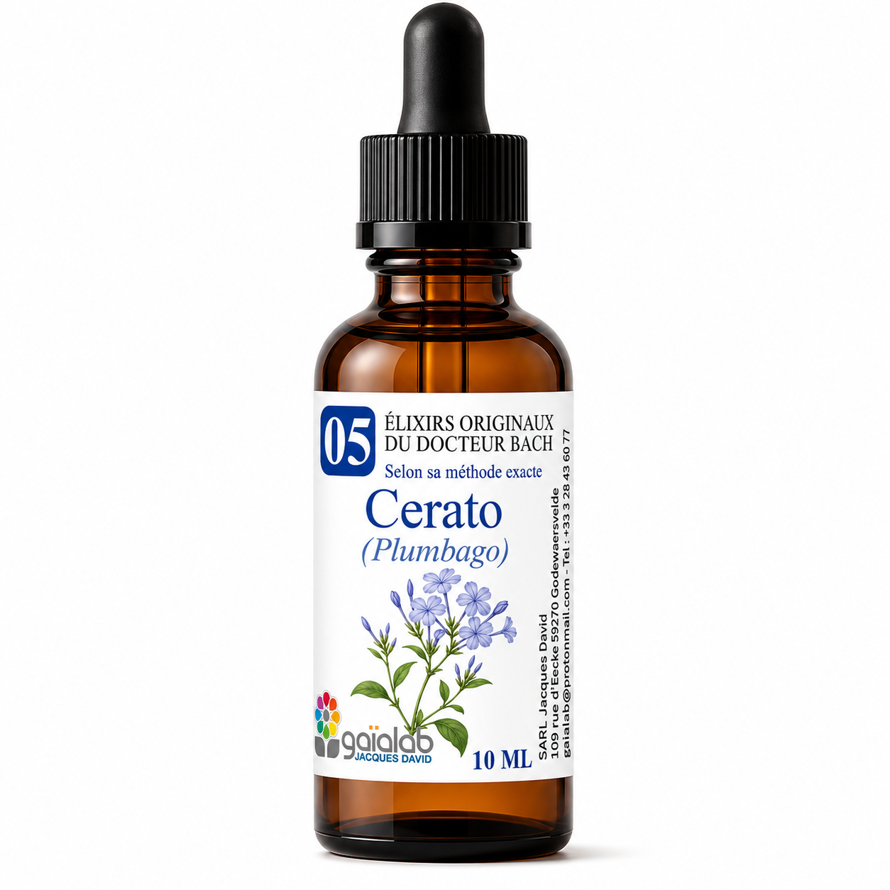 Cerato (Lumbago) - Organic Bach Flower Remedy*