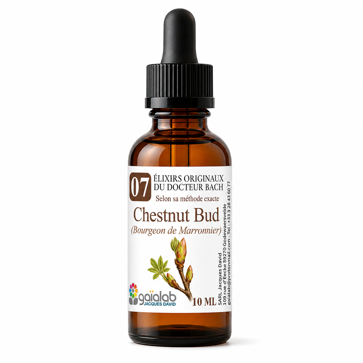 Chestnut Bud - Organic Bach Flower Remedy*