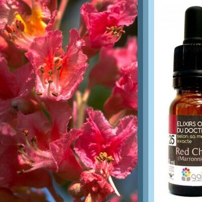 Fiori di Bach Red Chestnut (Red Chestnut) BIOLOGICO*