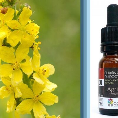 Fleur de Bach Agrimony (Aigremoine) BIO*