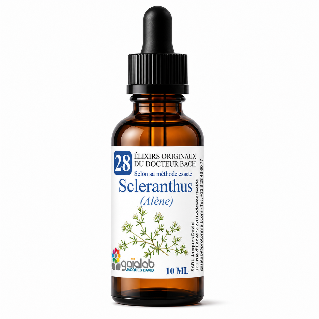 Scleranthus (Annual Gravel) - Organic Bach Flower Remedy*