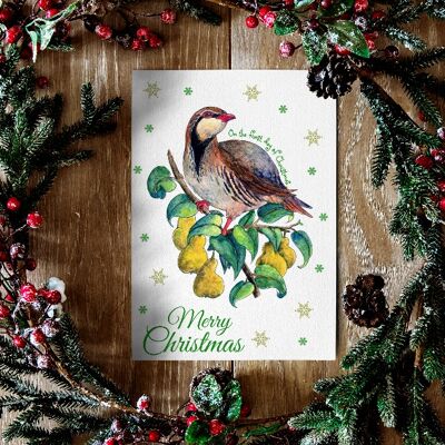 Weihnachtskarte mit einem Geschenk von Samen - Rebhuhn in einem Birnenbaum