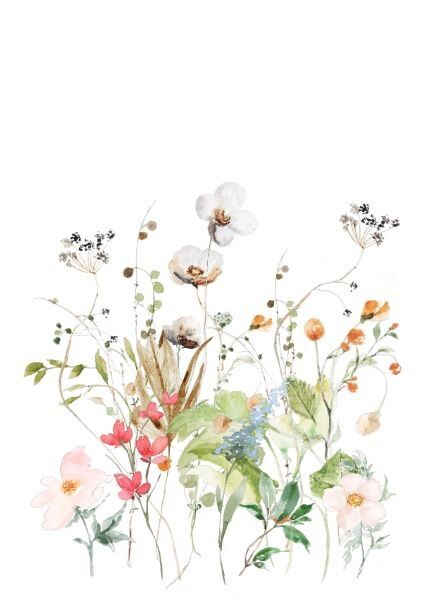 Carta sostenibile - fiori di prato