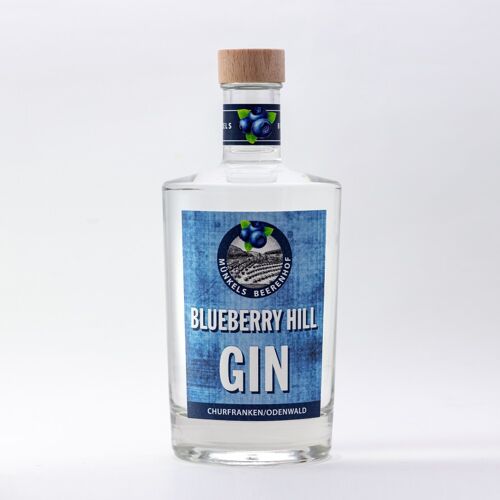 Destilled London Dry Gin „Blueberry Hill“
