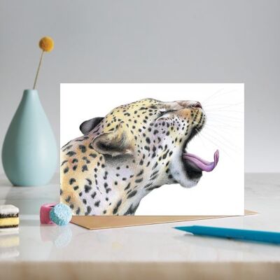 Leopard yawn