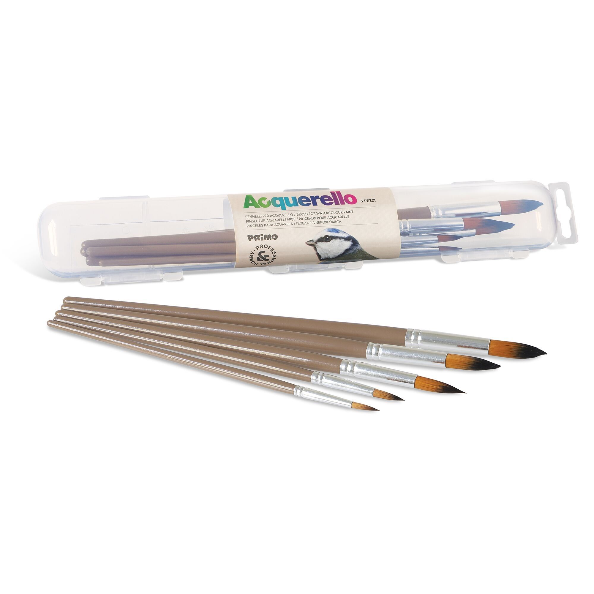 Set con 5 pennelli di alta qualità
