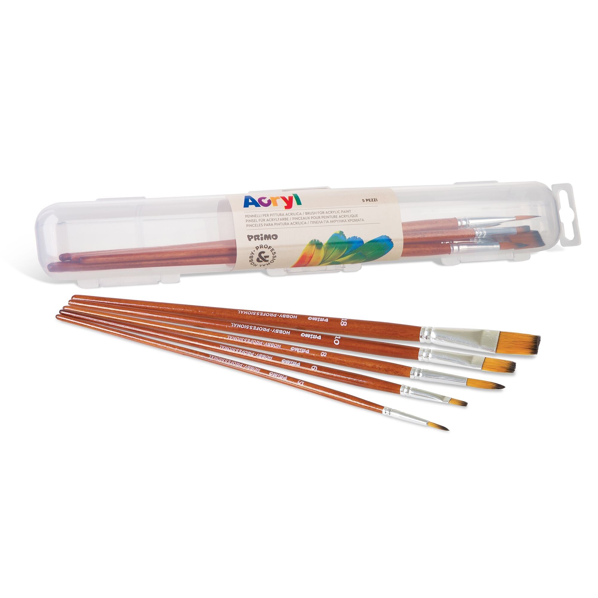 Set con 5 pennelli di alta qualità