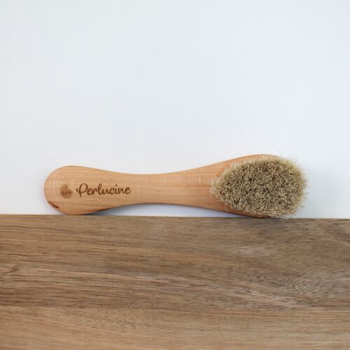 Brosse visage