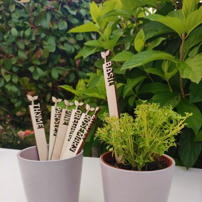 Plant and Garden Markers, Vegetable Plaques, Vegetable Tag, Vegetable and Flower Pot Stake