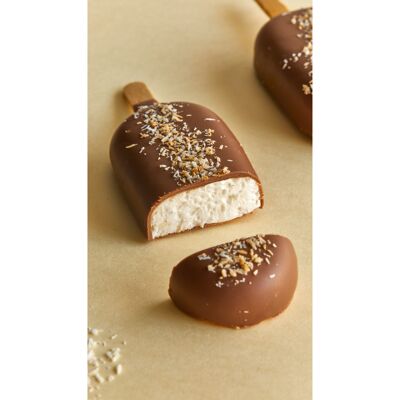 4 Eskimos – Marshmallows mit Schokoladenüberzug