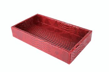 Plateau rectangulaire, petit reptile rouge 2