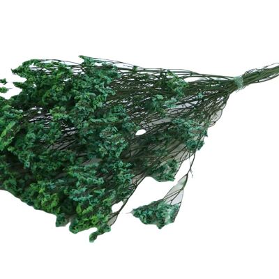 Limonium Diamond preserved, bunch 50g, 70cm, turquoise