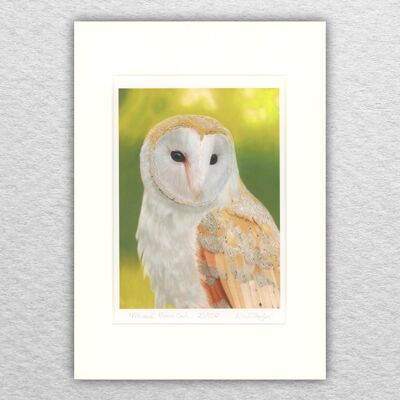 Barbagianni stampa-A4 montato su A3 - arte della fauna selvatica - arte britannica - arte degli uccelli - pastello - disegno - giclée - illustrazione - pittura