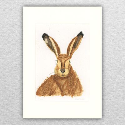 Impresión de liebre - A5 montado en A4 - arte de la vida silvestre - arte británico - arte animal - lápiz de color - dibujo - giclée - ilustración - pintura