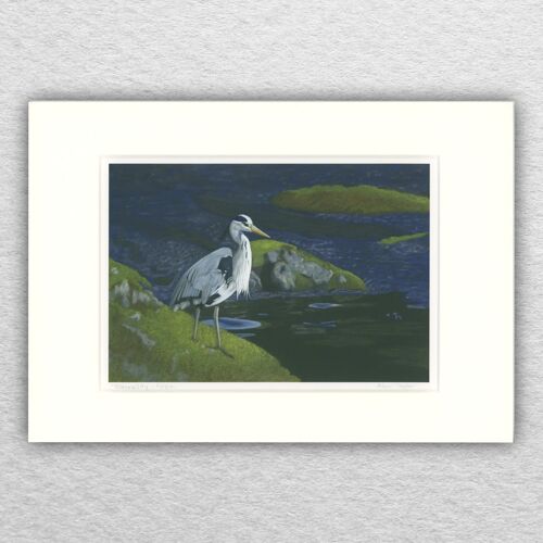 Heron print - A5 mounted to A4- wildlife art - british art - bird art - pastel - drawing - giclee - illustration - painting