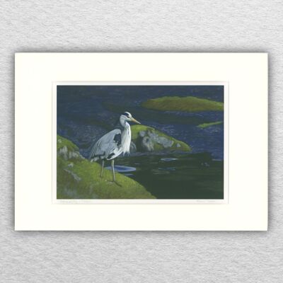 Heron stampa - A5 montato su A4 - arte della fauna selvatica - arte britannica - arte degli uccelli - pastello - disegno - giclée - illustrazione - pittura