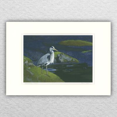 Heron print - A4 mounted to A3 - wildlife art - british art - bird art - pastel - drawing - giclee - illustration - painting