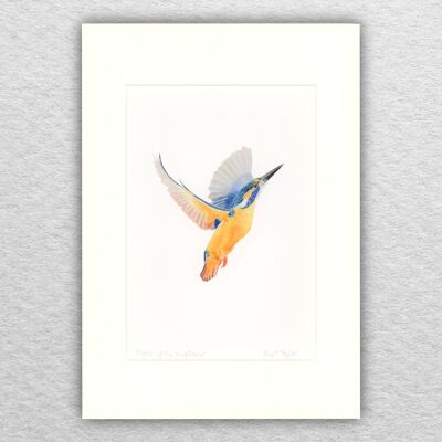 Kingfisher stampa - A5 montato su A4 - arte della fauna selvatica - arte britannica - arte degli uccelli - matita colorata - disegno - giclée - illustrazione - pittura