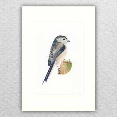Impression de Mésange à longue queue - A5 monté sur A4 - art animalier - art britannique - art d'oiseau - crayon de couleur - dessin - giclée - illustration - peinture