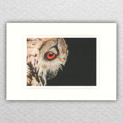 Eulendruck – A5 auf A4 montiert – Tierkunst – europäische Kunst – Vogelkunst – Pastell – Zeichnung – Giclée – Illustration – Malerei