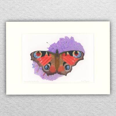 Stampa della farfalla del pavone - A5 montato su A4 - arte della fauna selvatica - arte europea - arte degli insetti - pastello - disegno - giclée - illustrazione - pittura