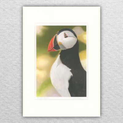 Impression de macareux - A5 monté sur A4 - art animalier - art britannique - art d'oiseau - pastel - dessin - jet d'encre - illustration - peinture