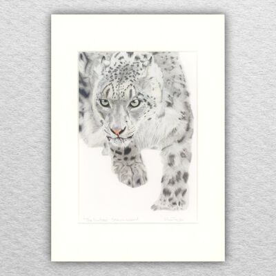 Schneeleopardendruck – A4 auf A3 montiert – Tierkunst – asiatische Kunst – Tierkunst – große Katzenkunst – Farbstift – Zeichnung – Giclée – Illustration – Malerei