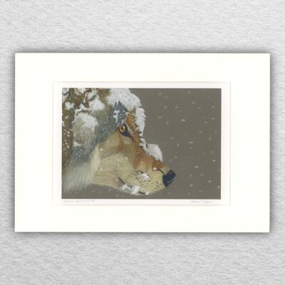 Schneewolf-Druck – A4 auf A3 montiert – Tierkunst – europäische Kunst – Tierkunst – Pastell – Zeichnung – Giclée – Illustration – Malerei