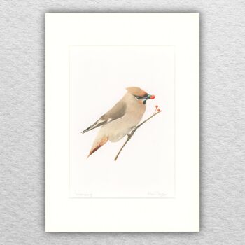 Waxwing print - A4 monté sur A3 - art animalier - art britannique - art oiseau - crayon de couleur - dessin - giclée - illustration - peinture 1