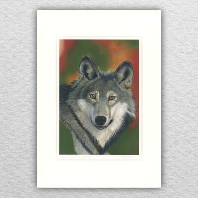 Wolfsdruck – A5 auf A4 montiert – Tierkunst – europäische Kunst – Tierkunst – Pastell – Zeichnung – Giclée – Illustration – Malerei