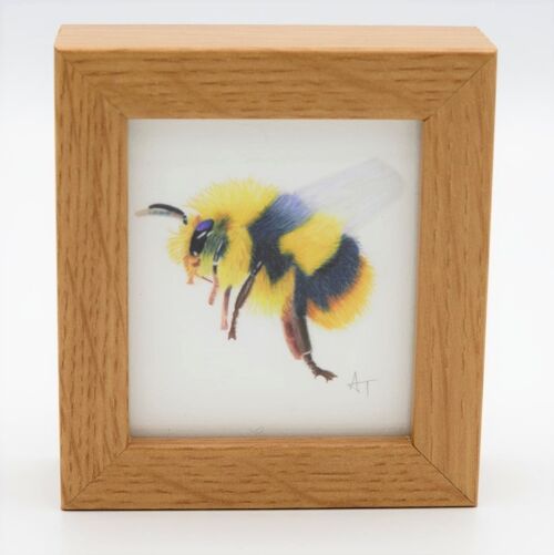 Bee Miniature Print - Box Frame - miniature art - collectible , 10.5cm h x 9.5cm w, with a 3.5cm depth