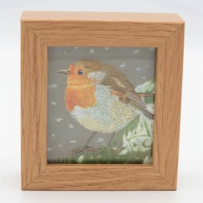 Robin Red Breast Miniature Print - Box Frame - miniature art - collectible , 10.5cm h x 9.5cm w, with a 3.5cm depth