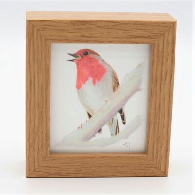 Robin Miniature Print - Box Frame - miniature art - collectible , 10.5cm h x 9.5cm w, with a 3.5cm depth