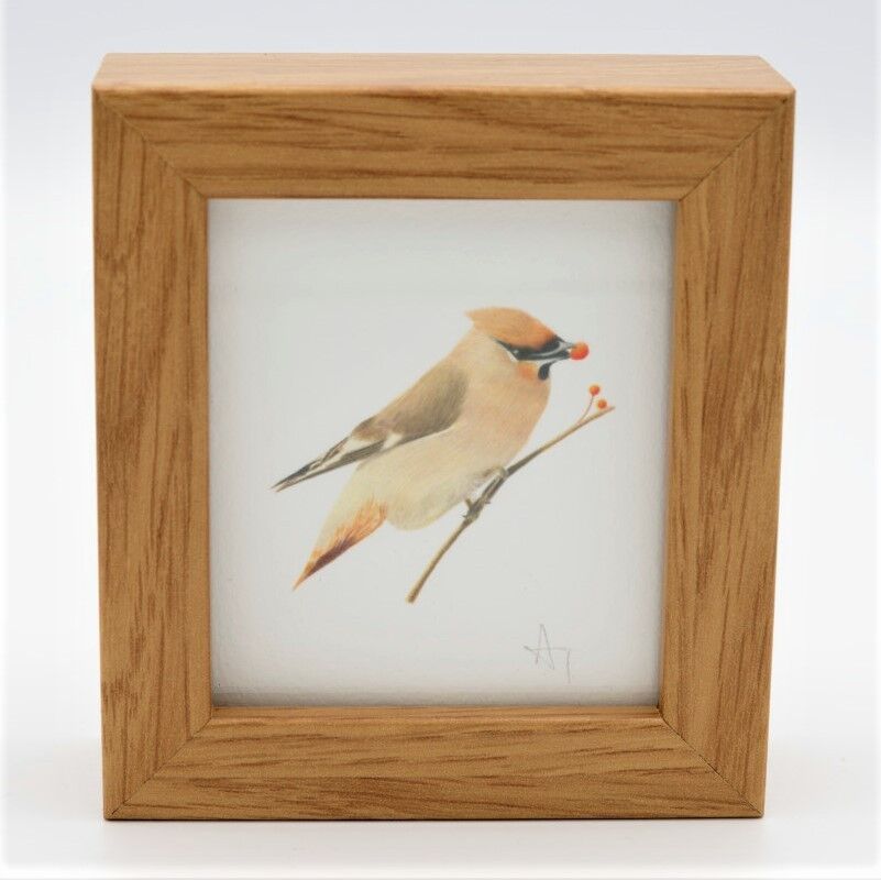 Waxwing Miniature Print - Box Frame - miniature art - da collezione, 10,5 cm hx 9,5 cm l, con una profondità di 3,5 cm