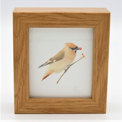 Waxwing Miniature Print - Box Frame - miniature art - collectible , 10.5cm h x 9.5cm w, with a 3.5cm depth