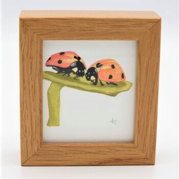 Ladybird Miniature Print - Box Frame - art miniature - collection, 10,5 cm hx 9,5 cm l, avec une profondeur de 3,5 cm 1