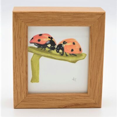 Impresión en miniatura de mariquita - Marco de caja - arte en miniatura - coleccionable, 10,5 cm de alto x 9,5 cm de ancho, con una profundidad de 3,5 cm